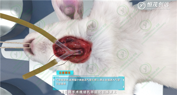 微信图片_20190717150832.png