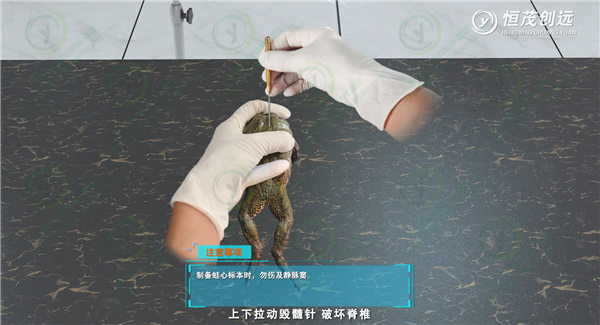 蛙心离体灌流.png