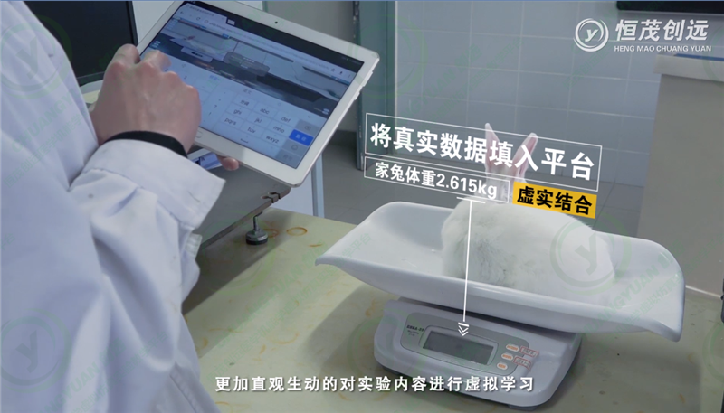 平台有哪些优势和特点？2.png