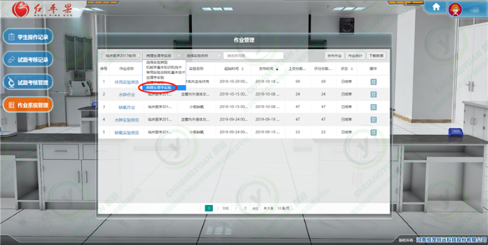 图片 19.png